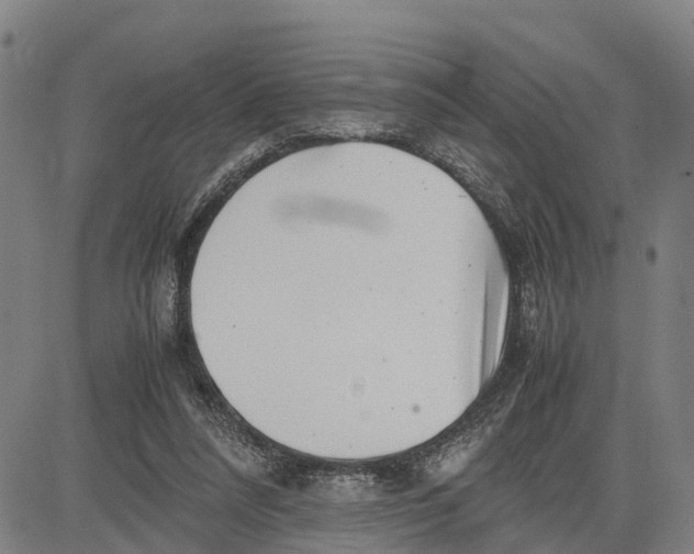 X0000081430304200702021659