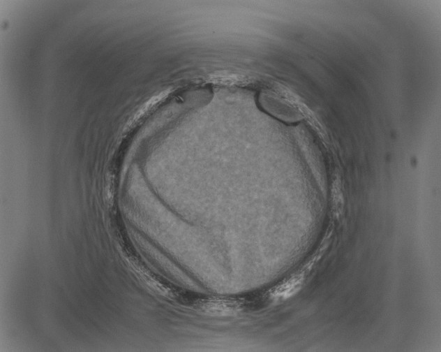 X0000081430305200702021659