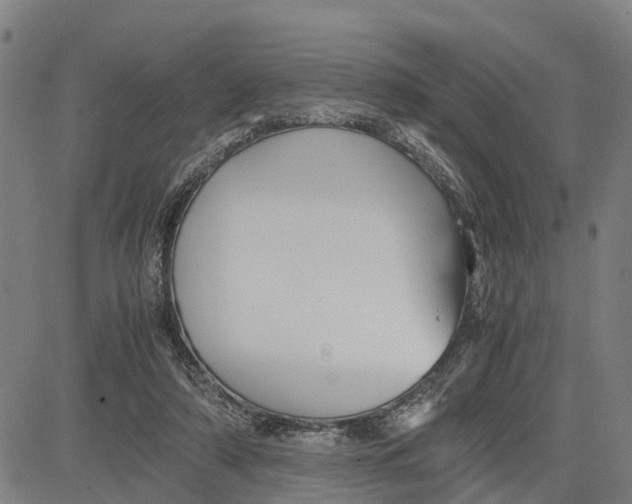 X0000081430306200702021659