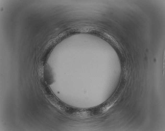 X0000081430307200702021659