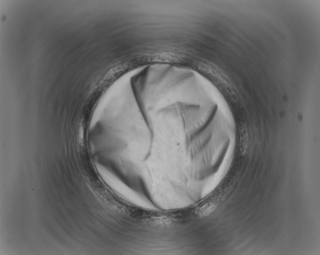 X0000081430310200702021659