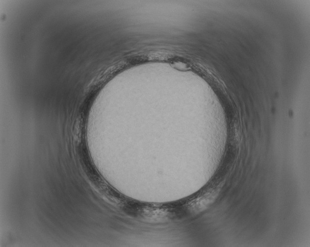 X0000081430311200702021659