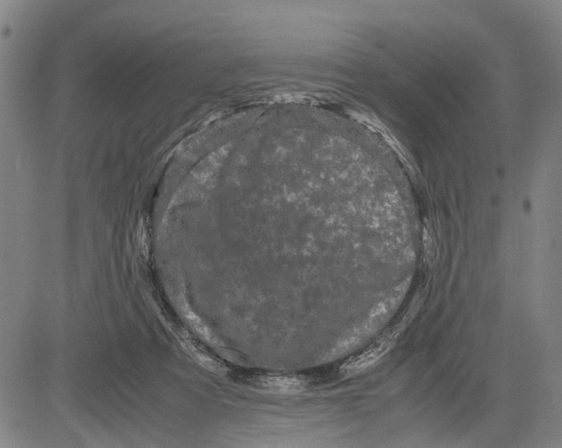 X0000081430313200702021659