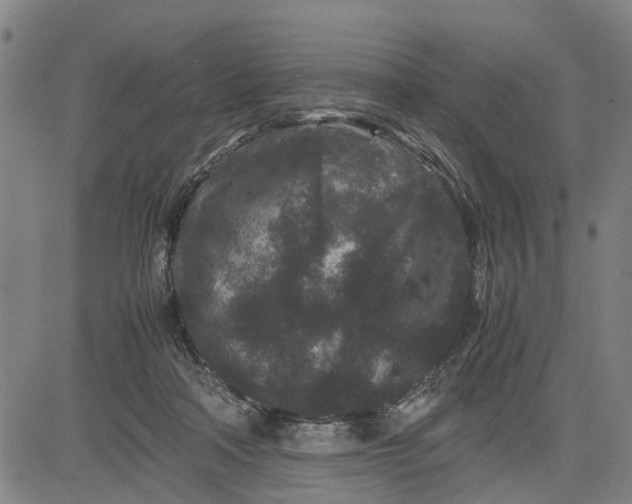 X0000081430314200702021659