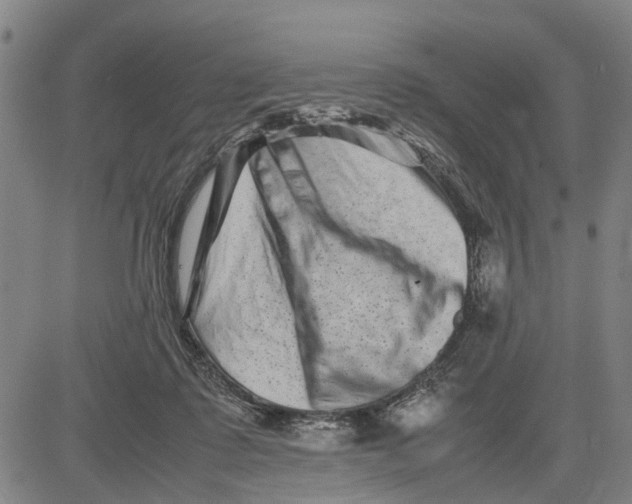 X0000081430315200702021659