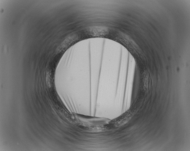 X0000081430316200702021659