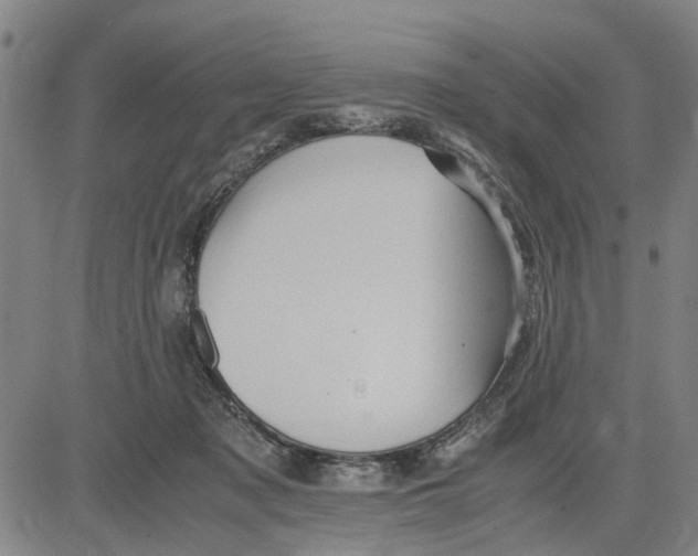 X0000081430317200702021659