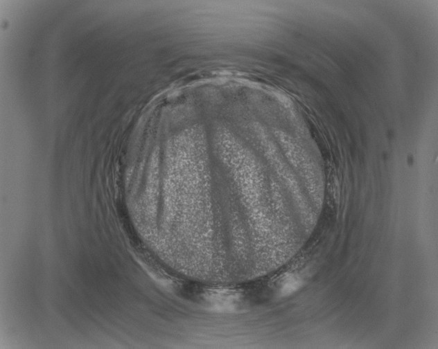 X0000081430319200702021659