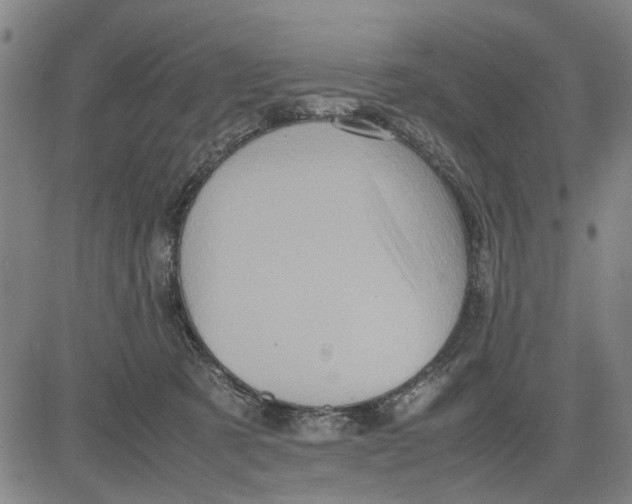 X0000081430321200702021659