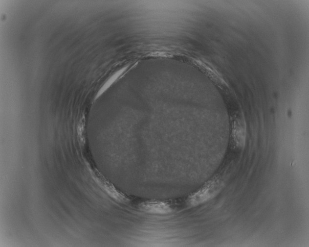 X0000081430322200702021659