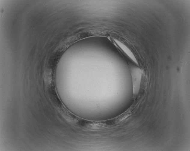 X0000081430323200702021659