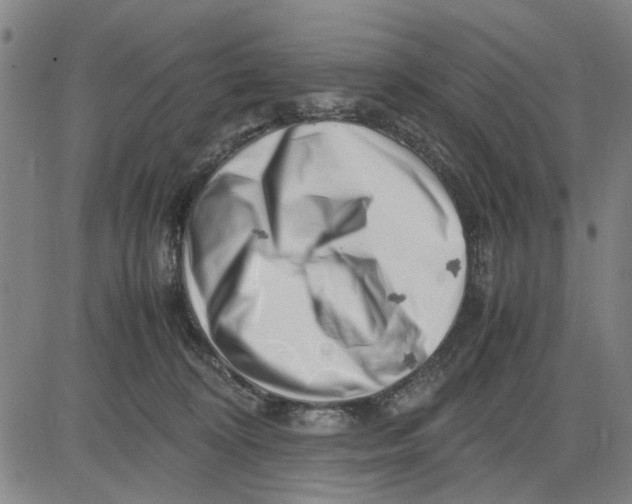 X0000081430324200702021659