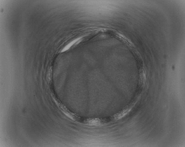 X0000081430325200702021659