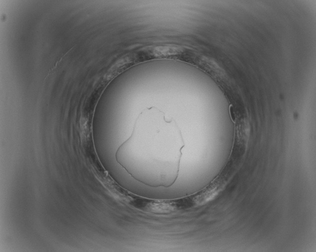 X0000081430327200702021659