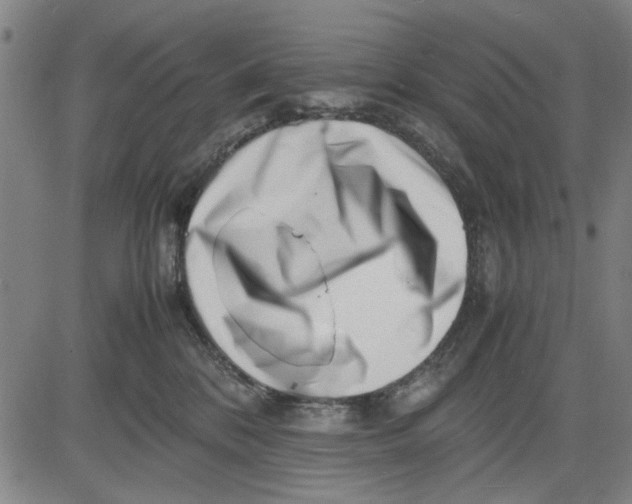 X0000081430328200702021659