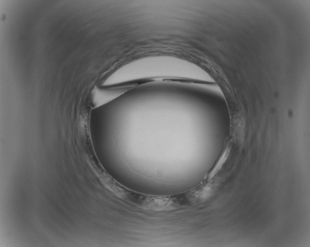 X0000081430329200702021659