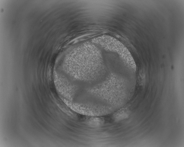 X0000081430330200702021659