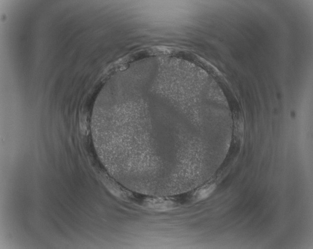 X0000081430331200702021659