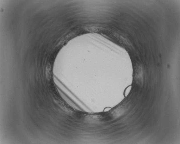 X0000081430332200702021658