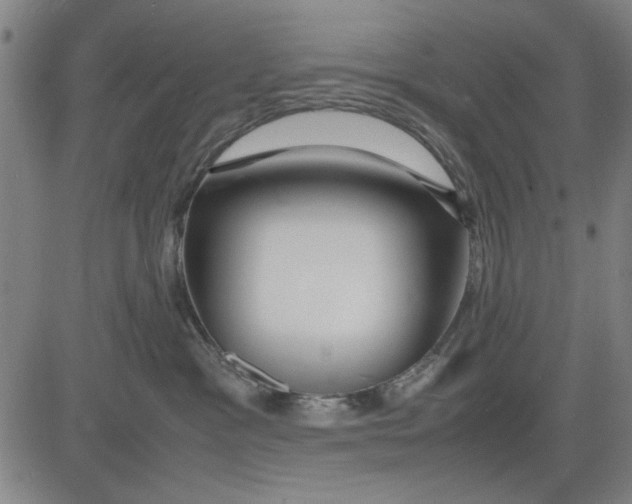 X0000081430333200702021658