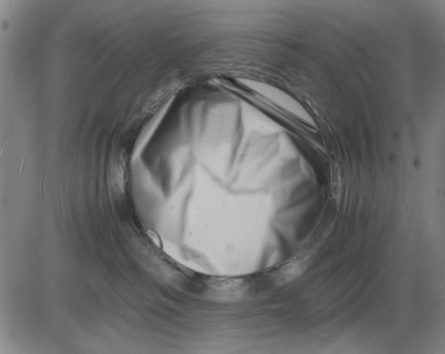 X0000081430334200702021658