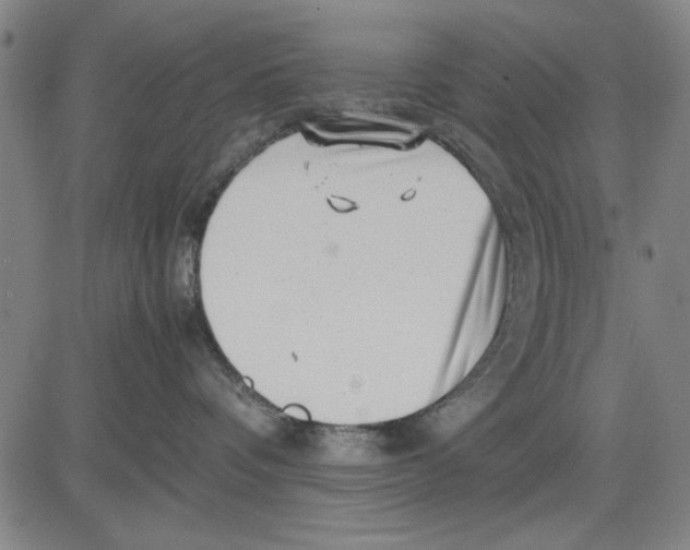 X0000081430336200702021658