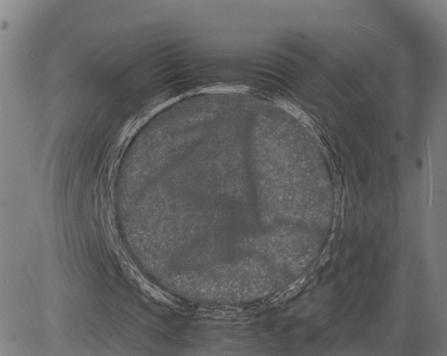 X0000081430337200702021658