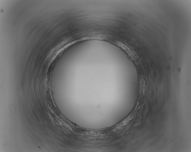 X0000081430338200702021658