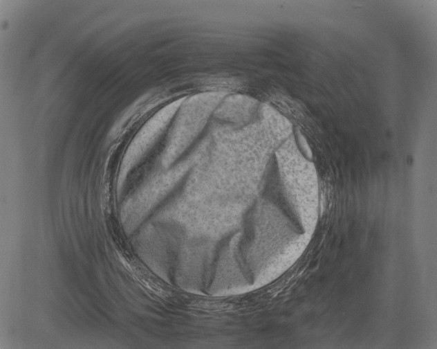 X0000081430339200702021658