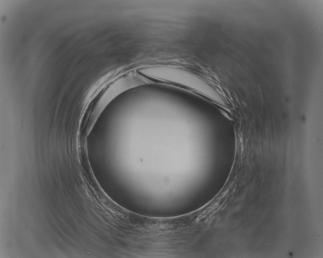 X0000081430340200702021658