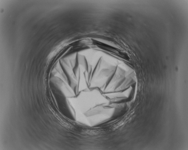 X0000081430341200702021658