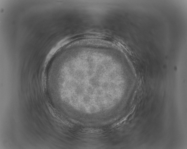 X0000081430343200702021658