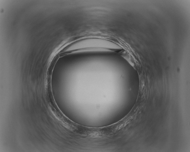 X0000081430344200702021658