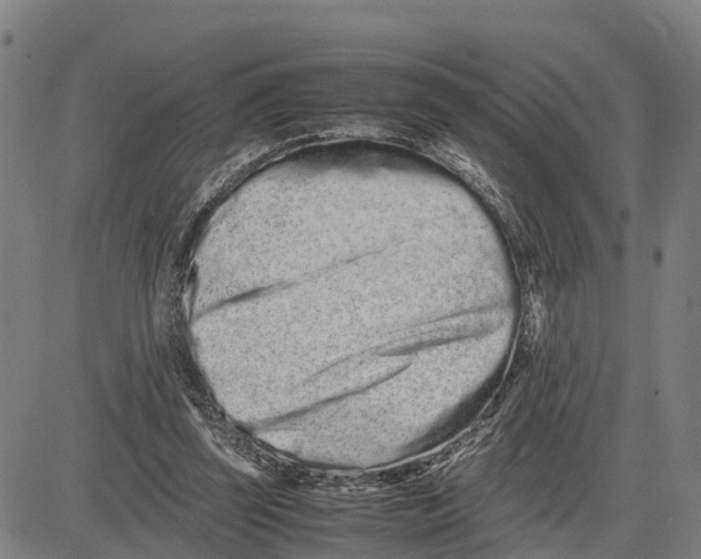 X0000081430347200702021658