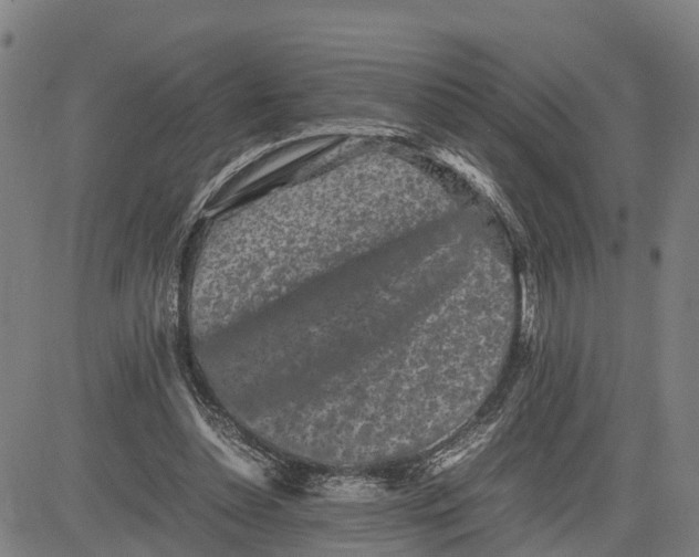 X0000081430348200702021658