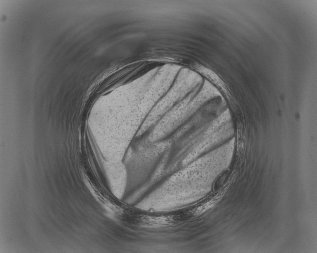 X0000081430349200702021658