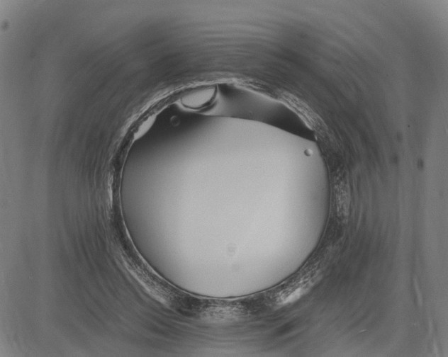 X0000081430350200702021658