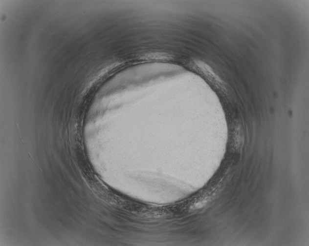 X0000081430351200702021658