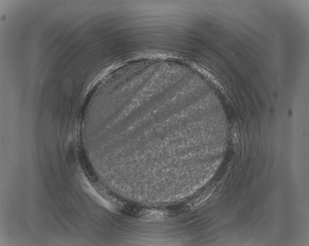 X0000081430352200702021658