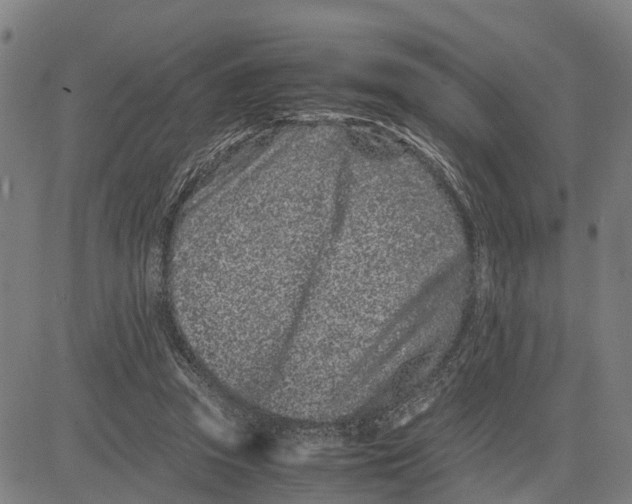 X0000081430353200702021658