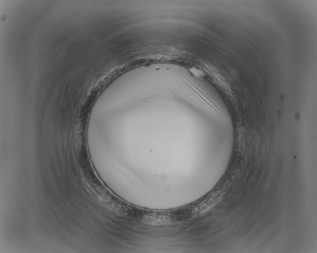 X0000081430354200702021658