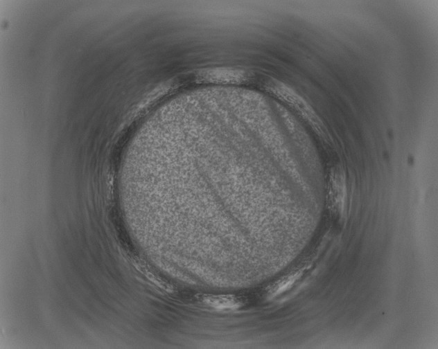 X0000081430355200702021658