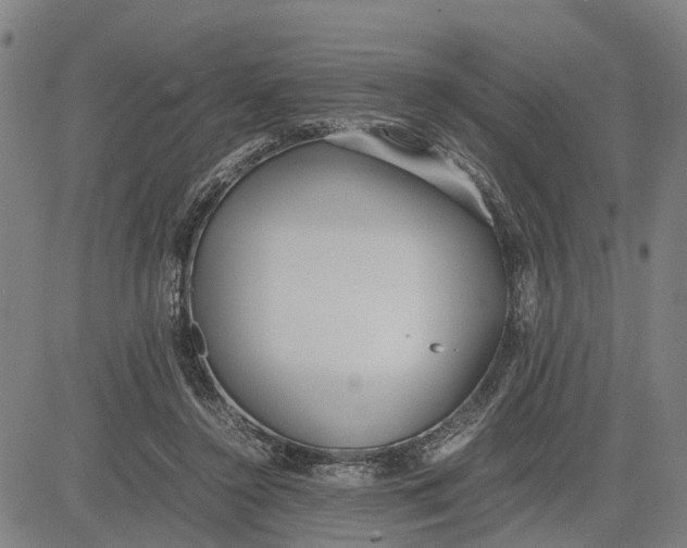 X0000081430356200702021658