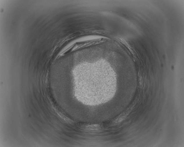 X0000081430357200702021658