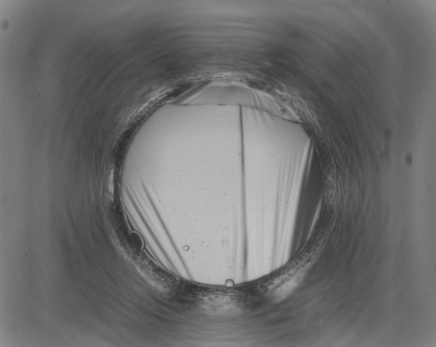 X0000081430358200702021658