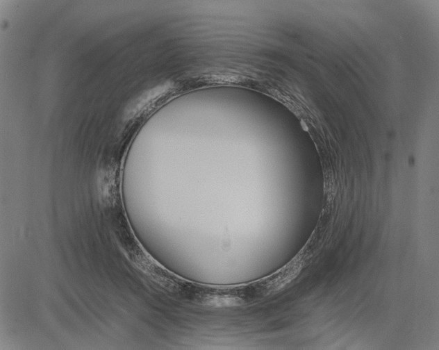 X0000081430360200702021658