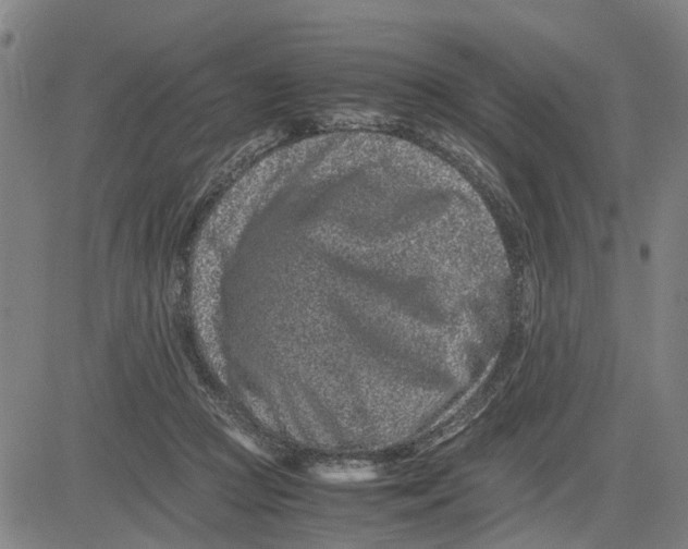 X0000081430361200702021658