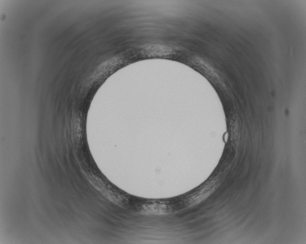 X0000081430362200702021658