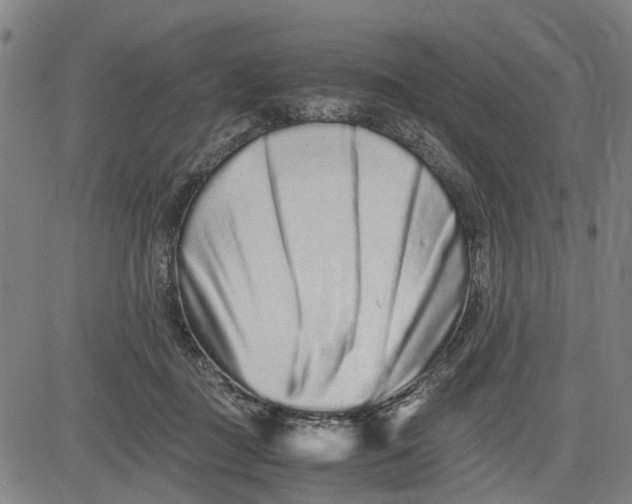 X0000081430363200702021658