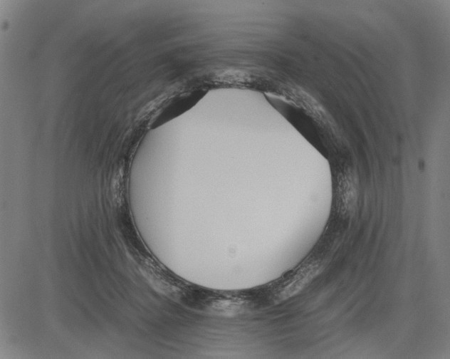 X0000081430364200702021658